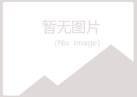 山西夏岚服务有限公司